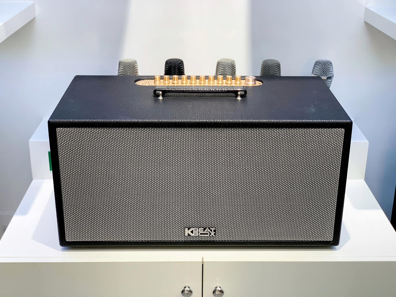 Loa Acnos CS451 Plus / CS451Plus - Hàng chính hãng
