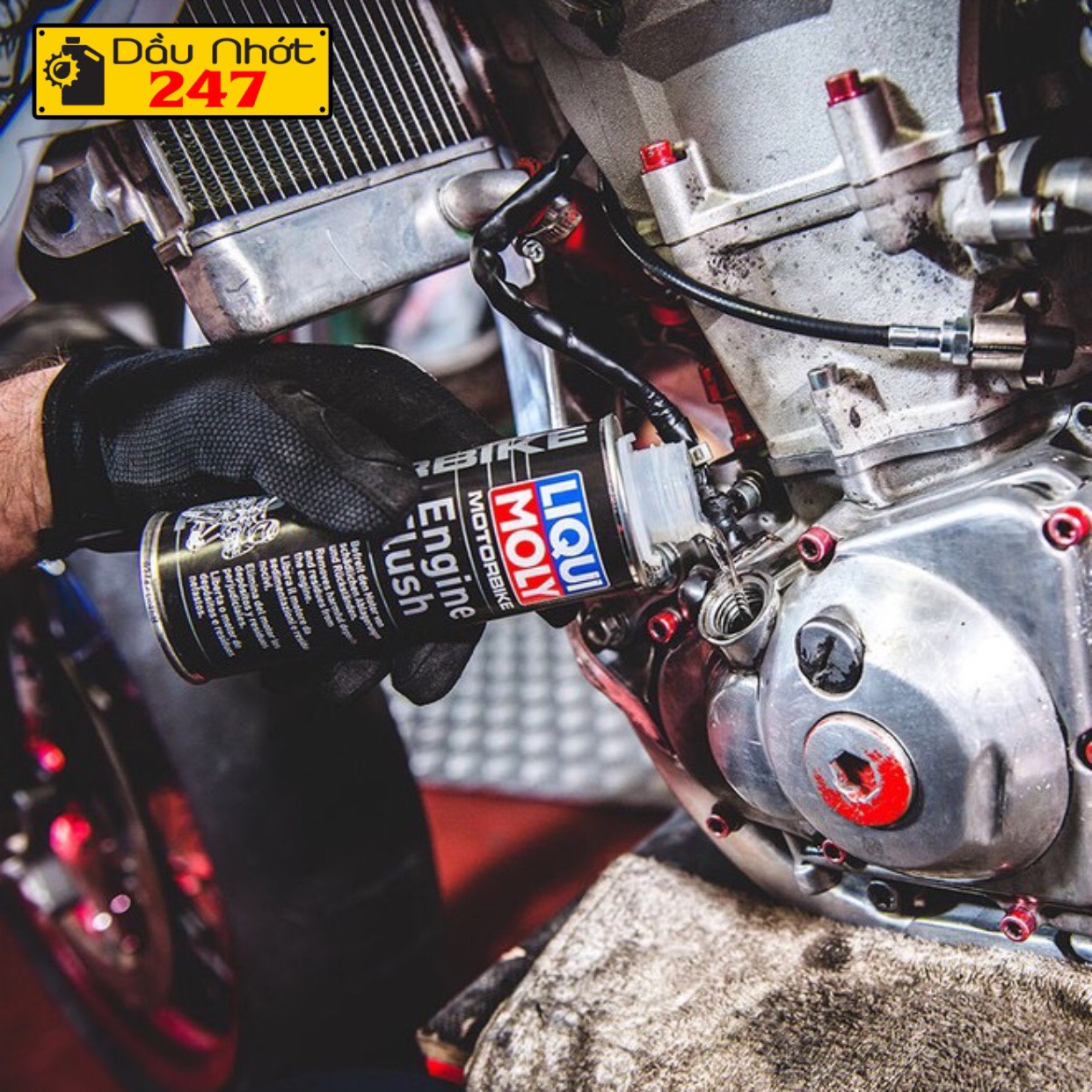 Dung dịch súc rửa động cơ Liqui Moly Engine Flush 250ml - 1657