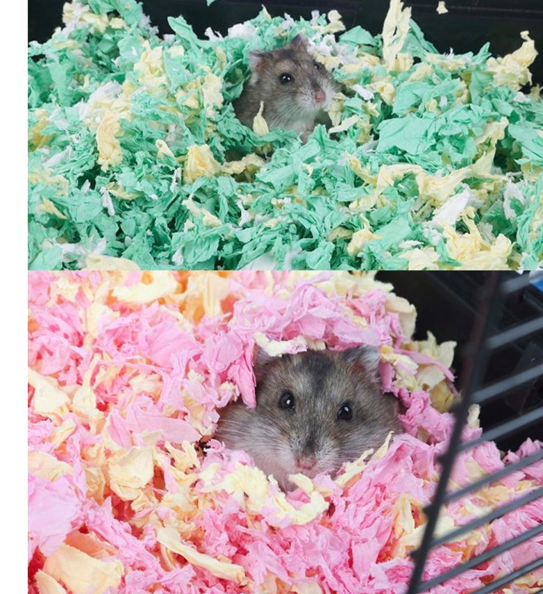GIẤY LÓT CHUỒNG VỆ SINH HAMSTER