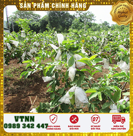 Combo 50 Túi Bọc Ổi Chất Lưọng Số 1, chất lượng số 1