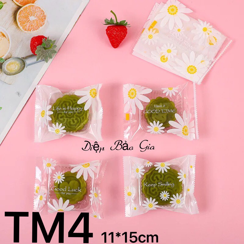 Túi/khay đựng bánh trung thu 100g