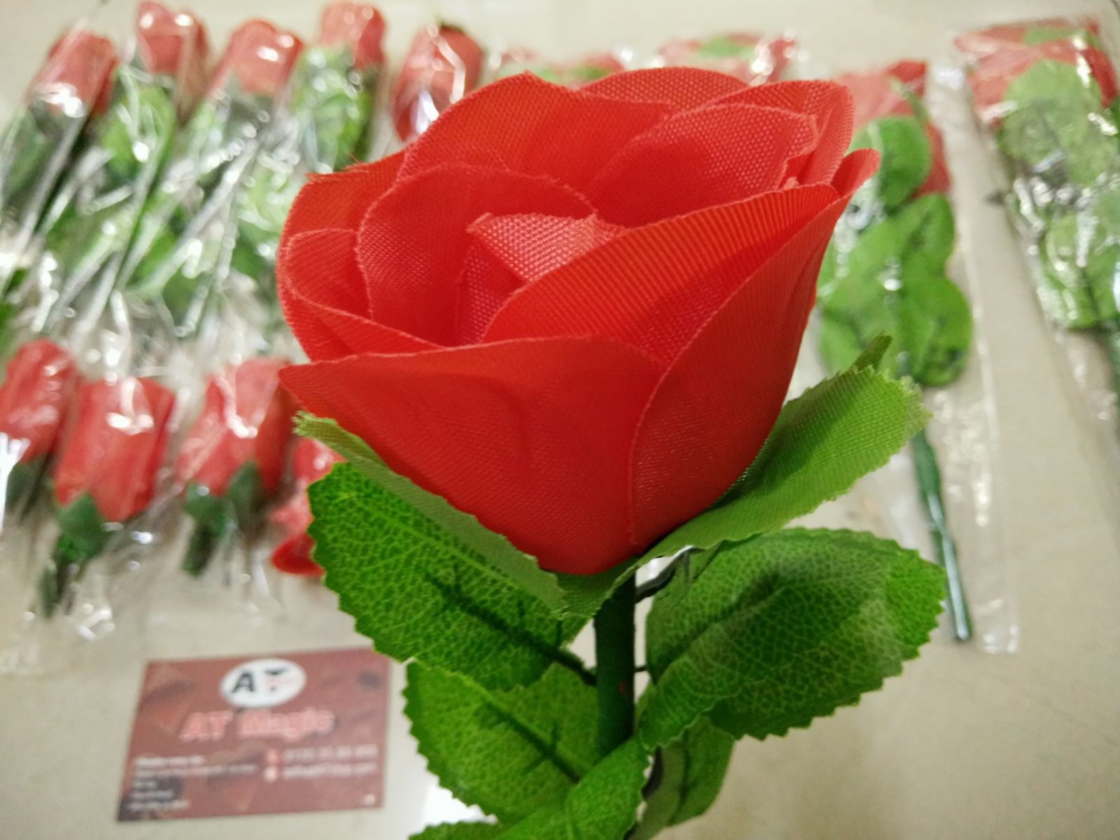 dụng cụ ảo thuật hoa hồng hồi sinh