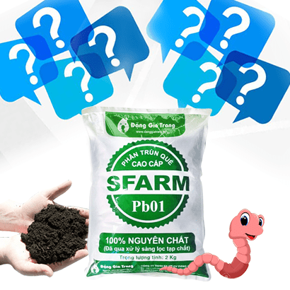[HCM]Phân trùng quế SFarm (Túi 2kg)