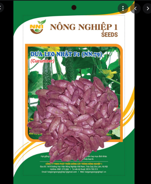 Hạt giống dưa leo nhật- dưa kiếm f1