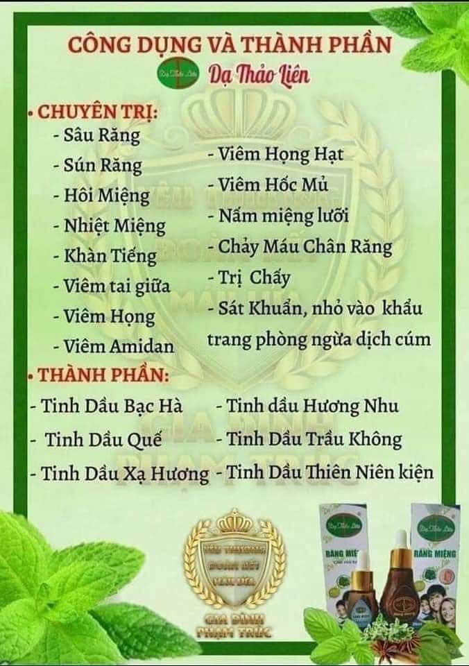 Tinh dầu răng miệng Dạ thảo liên
