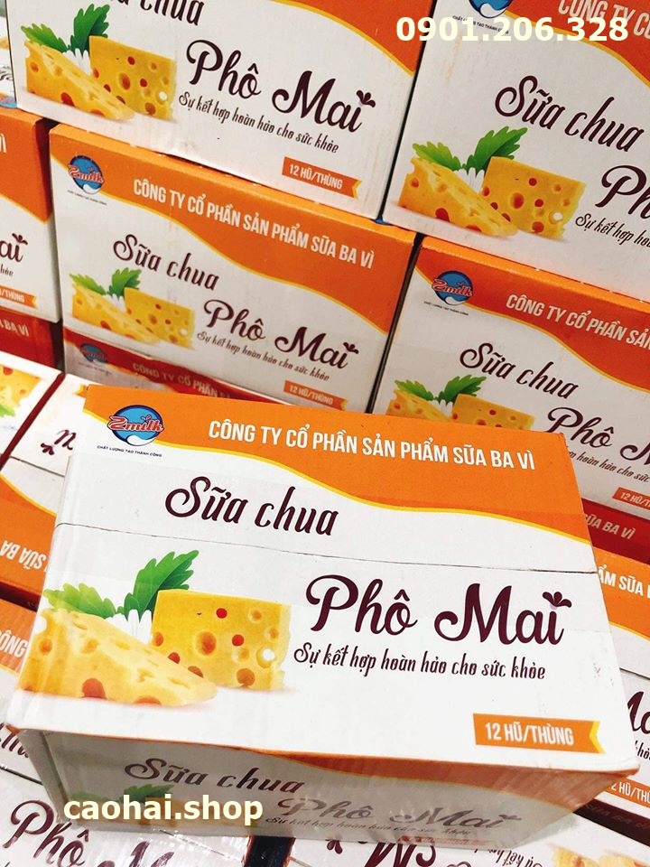 (Tp.Hồ Chí Minh) ❤❤️❤SỮA CHUA PHOMAI SIÊU NGON ❤❤️❤