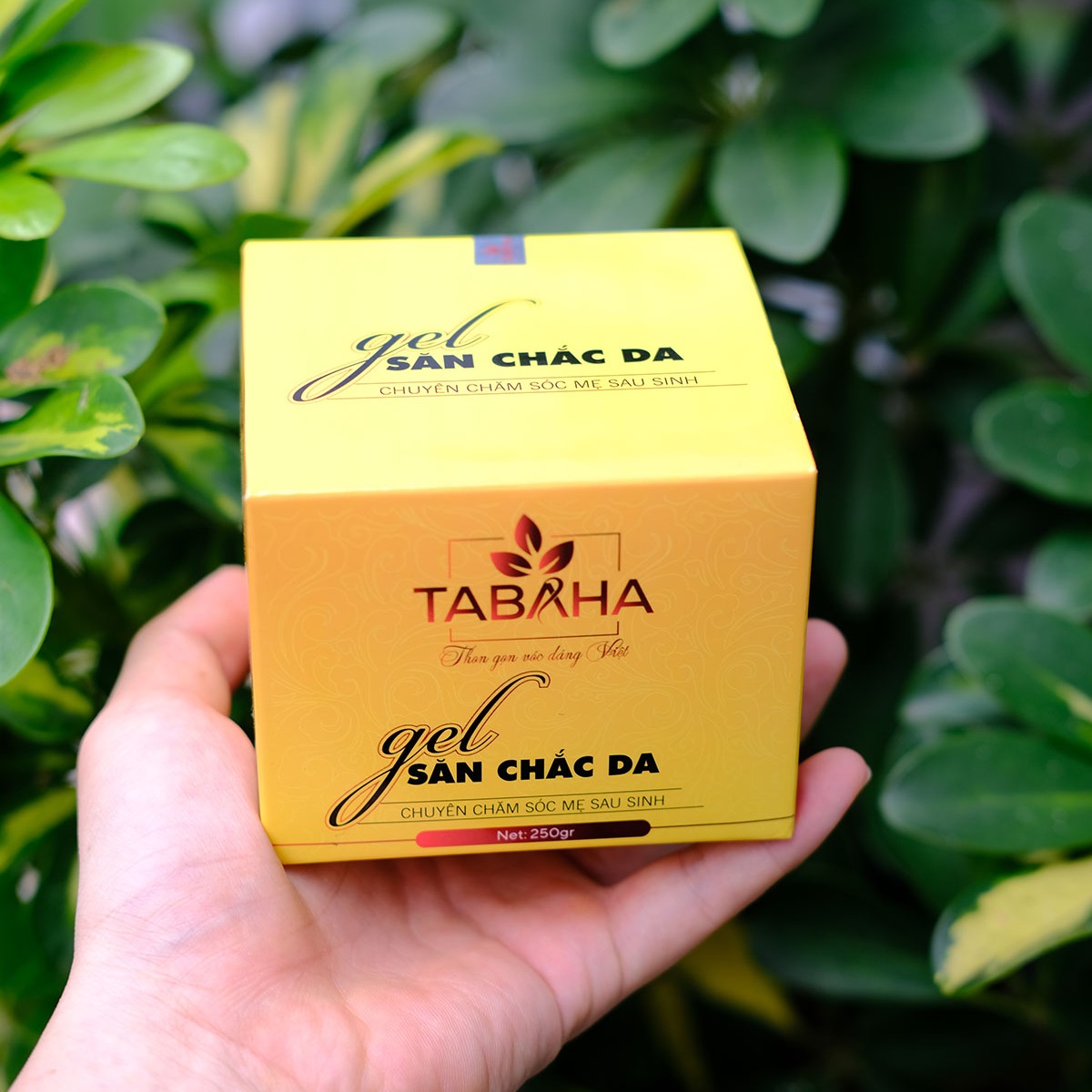 Kem tan mỡ Tabaha 250g CHÍNH HÃNG