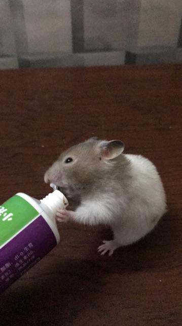 Gel dinh dưỡng cho Hamster Thỏ Bọ... - [Nông Trại Thú Cưng]