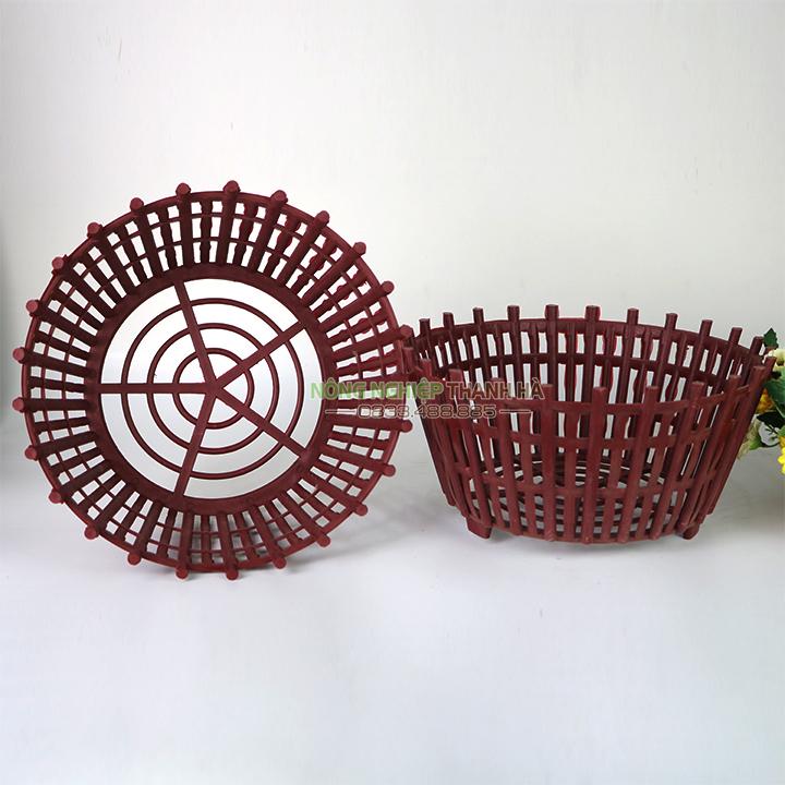 Chậu nhựa giả gỗ trồng lan phi 30 cm