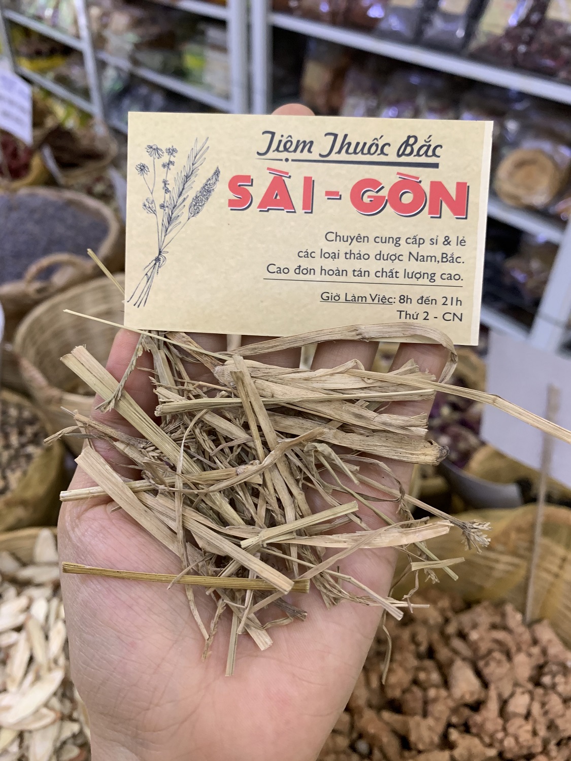 [HCM]CỎ MẦN TRẦU 100 GRAM Tiệm Thuốc Bắc Sài Gòn