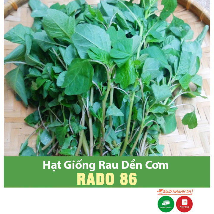 Hạt giống Rau Dền Cơm Dễ Trồng