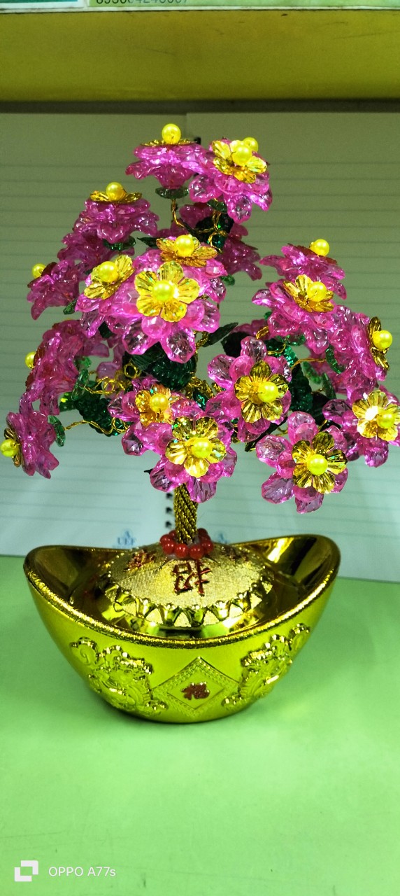 Cây kim ngân vạn lượng