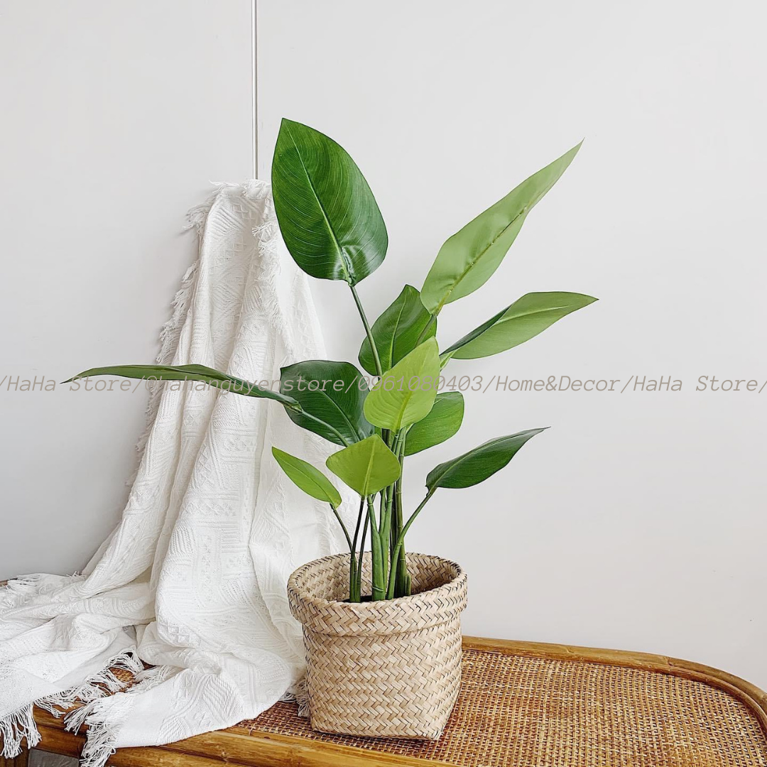 Thúng cói Decor Giỏ Cói Trồng cây GCD02