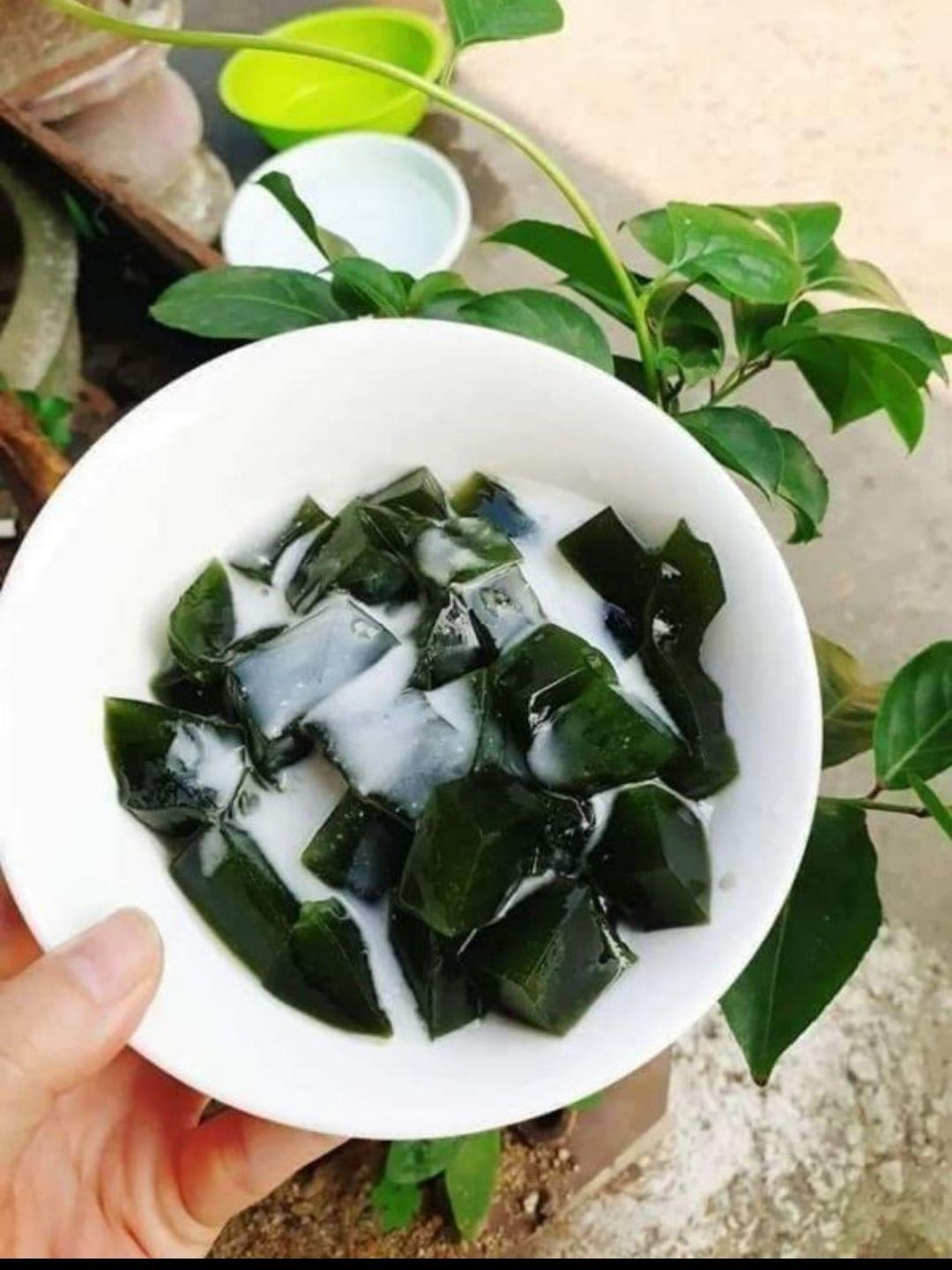 cây giống sương sâm
