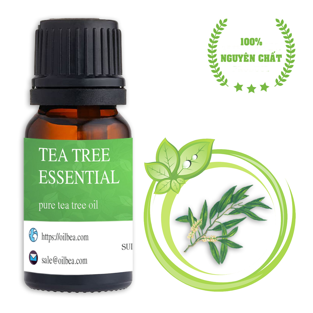 Tinh dầu tràm trà nguyên chất - tea tree oil