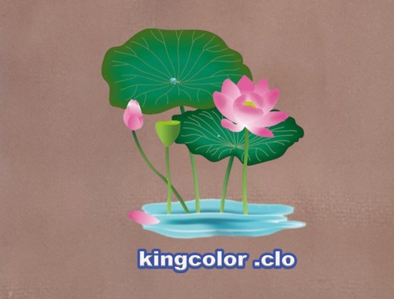 LOTUS FLOWER