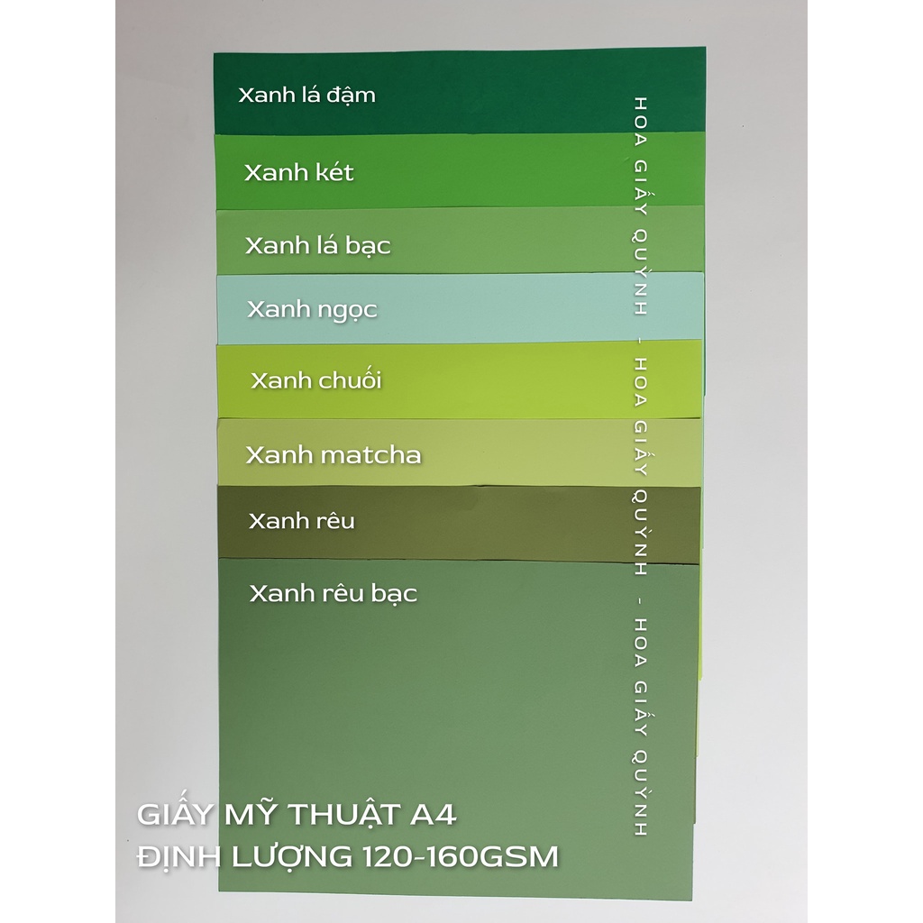 SET 50 tờ giấy mỹ thuật A4 120gsm