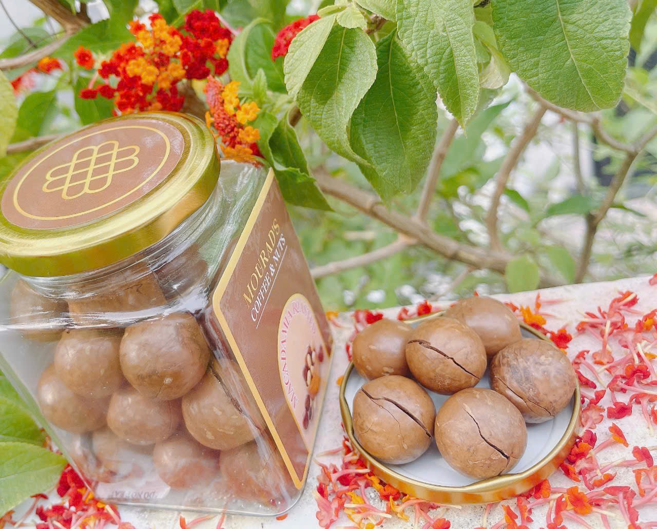 [New Date 10/2027] Mourad's Australian Macadamia Nuts 500 Gram Pack