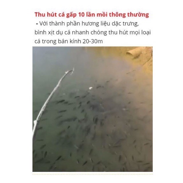 Tinh dầu câu cá xịt dụ cá trắm , trôi chép , mè ....  (cam kết bảo hành đổi trả trong 2 tuần đầu)