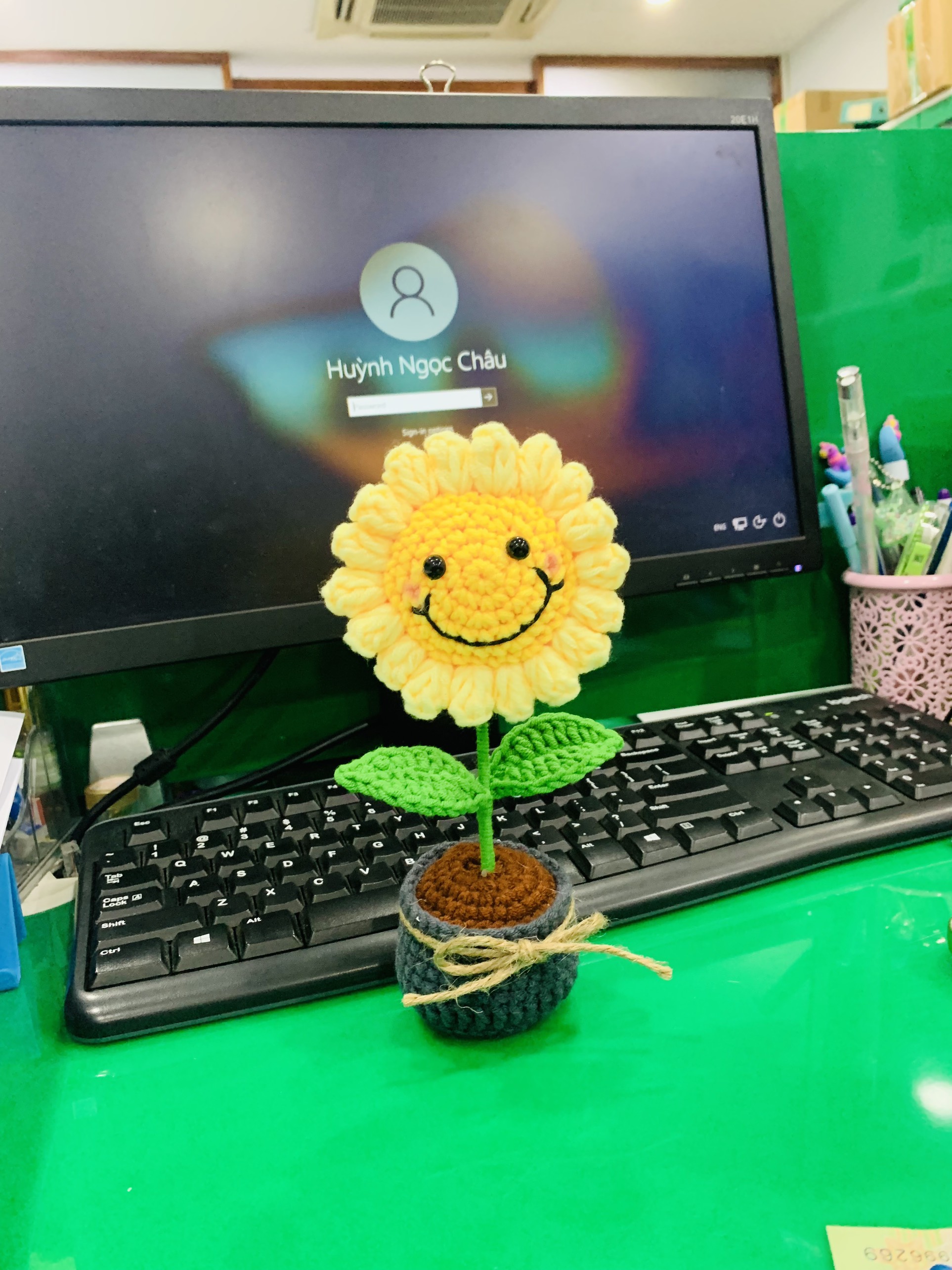 Wool sunflower pots sets