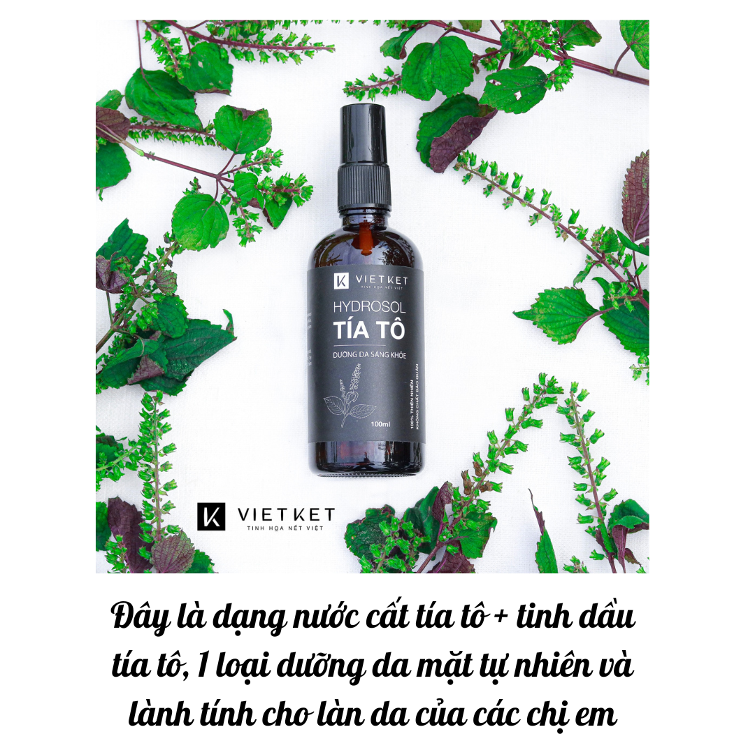 Hydrosol tía tô Vietket Giúp da sáng mịn, se khít lỗ chân lông, giảm mụn, giảm sưng viêm Chai 500ml Koshka Home