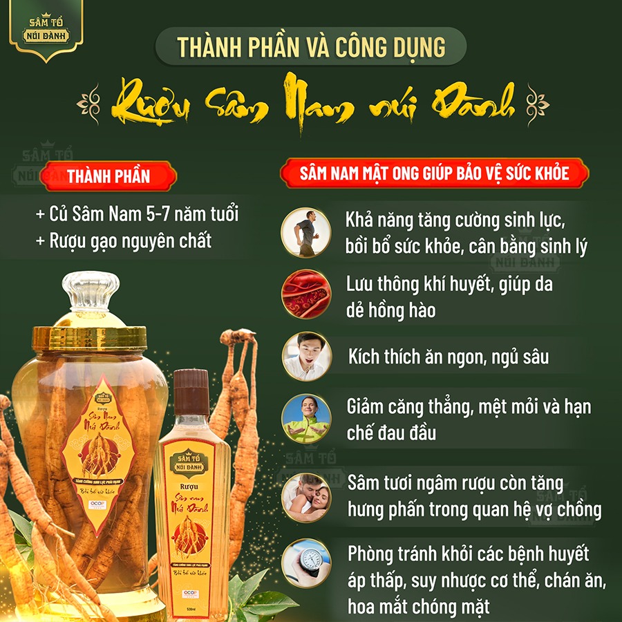 Bình rượu Sâm Nam núi Dành ngâm 3 lít. Sâm Tổ Núi Dành