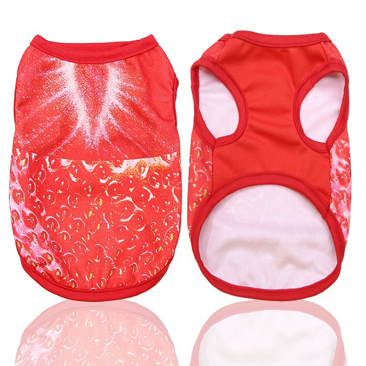 [HCM]Áo hoạt hình 3D trái cây dễ thương cute thú cưng