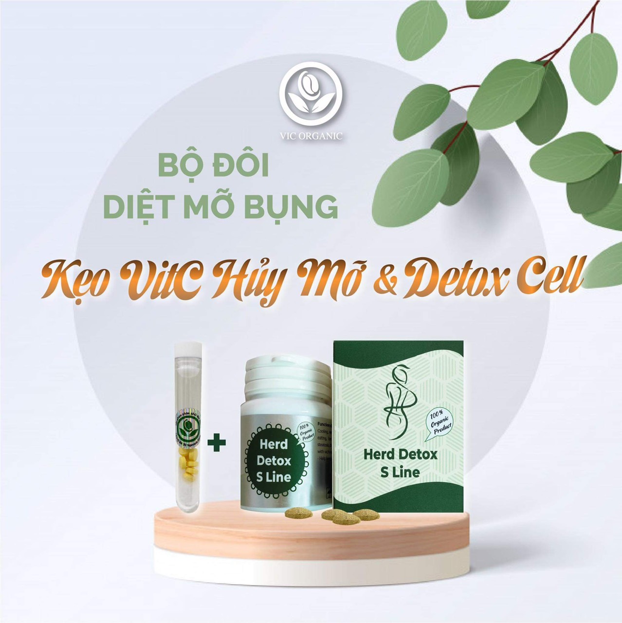 [HCM]GIÃM CÂN DETOX S LINE + 1 VIT-C