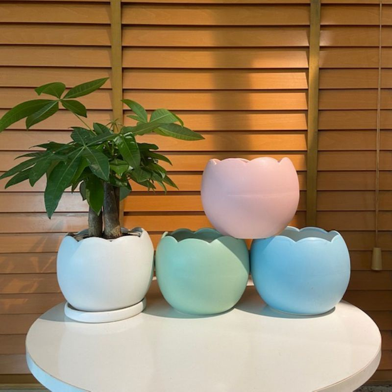 chậu sứ bát tràng Hình Trứng 8x8cm