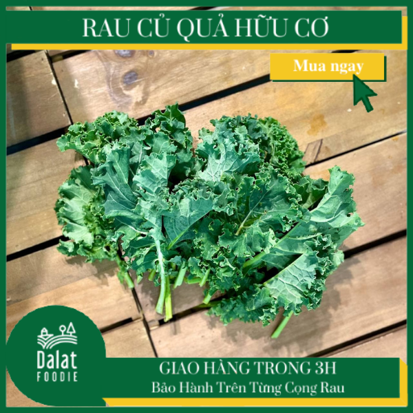 Cải Xoăn Kale hữu cơ 250G - [Giao hàng ngay tại TPHCM, Hà Nội]