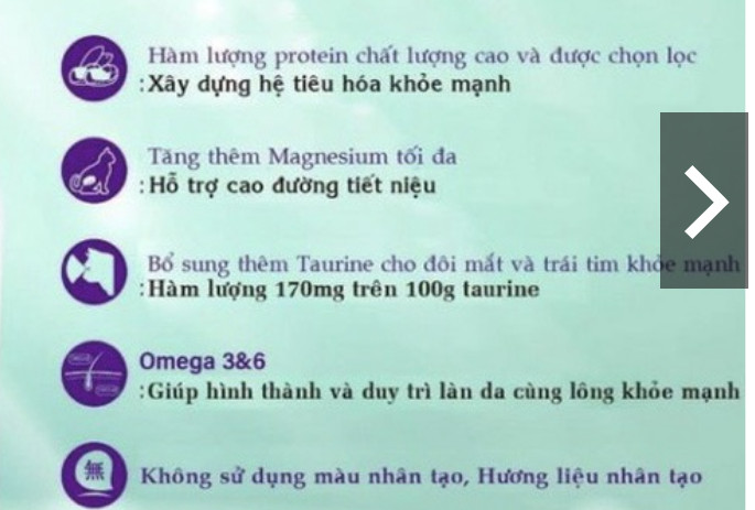 [1kg] Hạt Cho Mèo Catsrang/ Natural Born Túi Zip