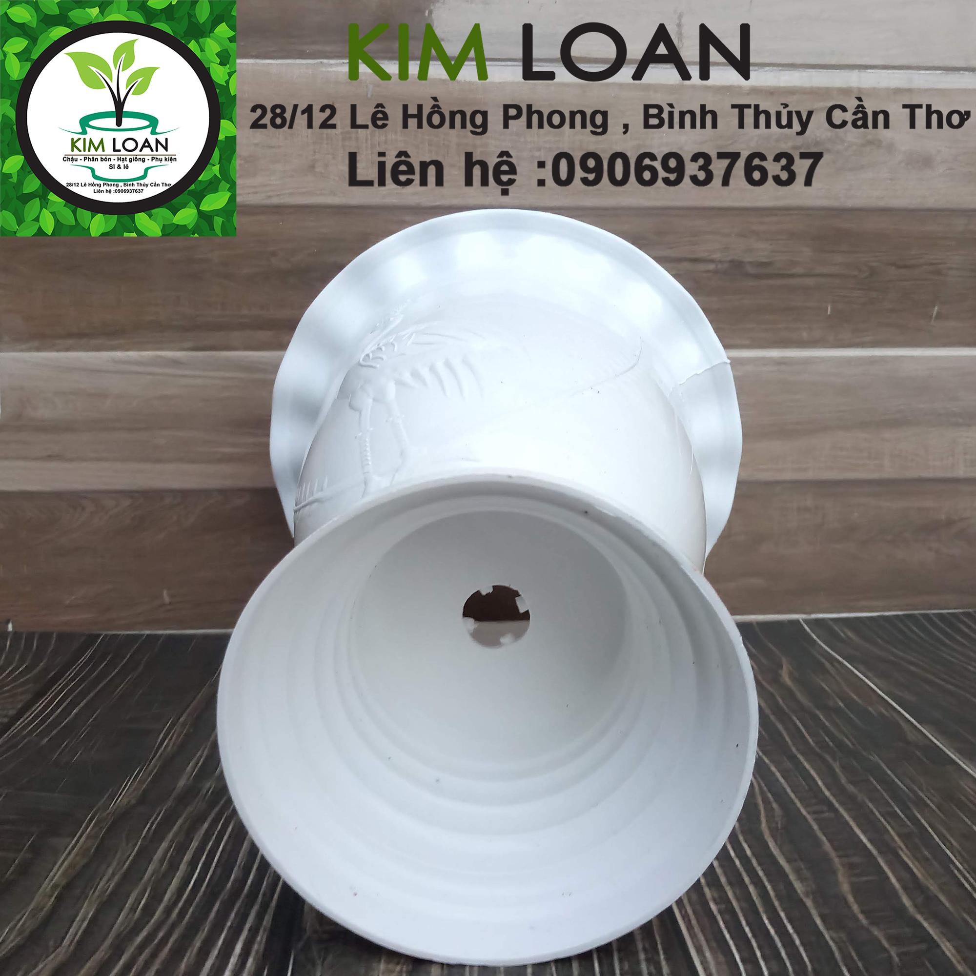 Chậu ly kem hoa văn cò bắt cá 18x23cm