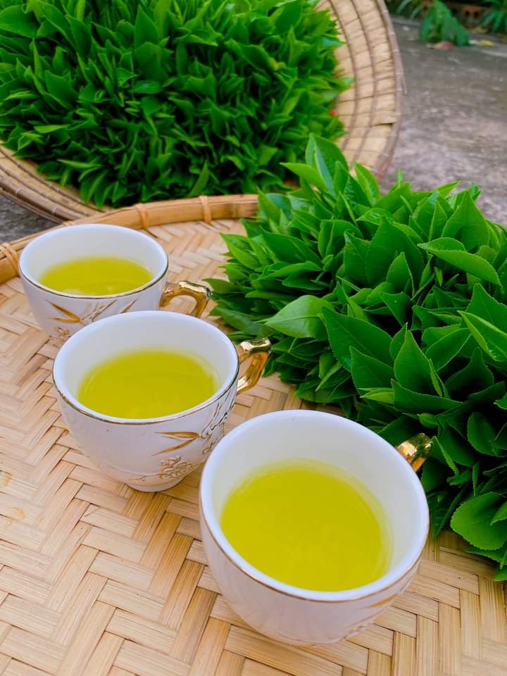 Chè Thái nguyên búp loại 1 ( túi 01 kg)