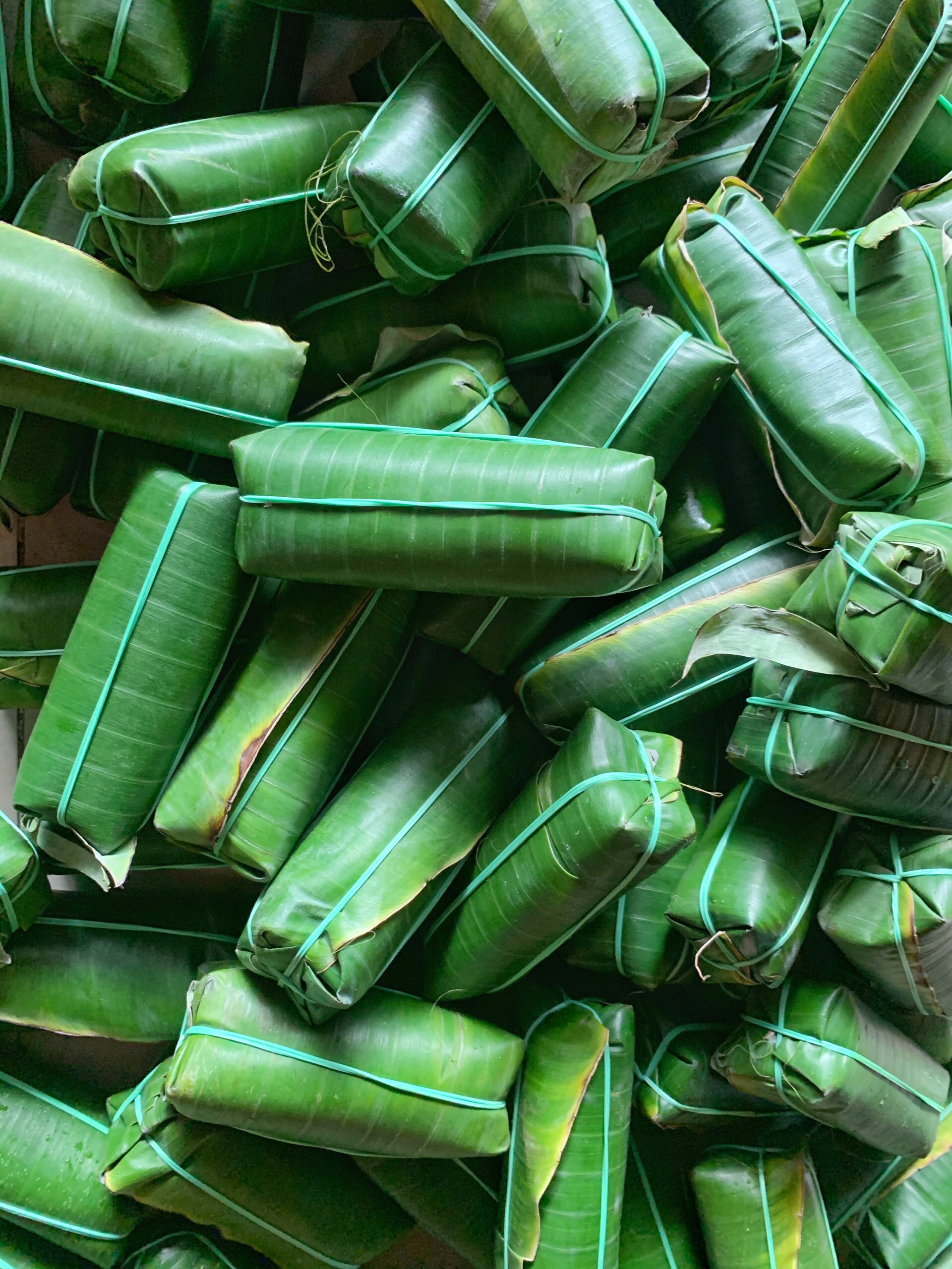 Tré Bình Định (100G) 10 cây