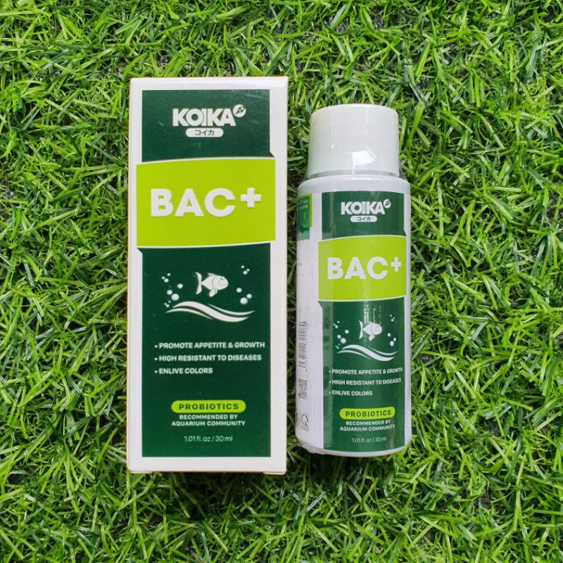 Koika bac + vi sinh tiêu hóa chuyên dùng cho cá và tép cảnh