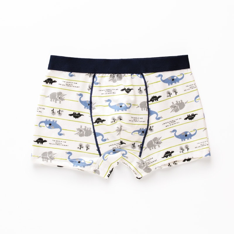 [Hcm]Combo of 4 Boys' Briefs in All Sizes