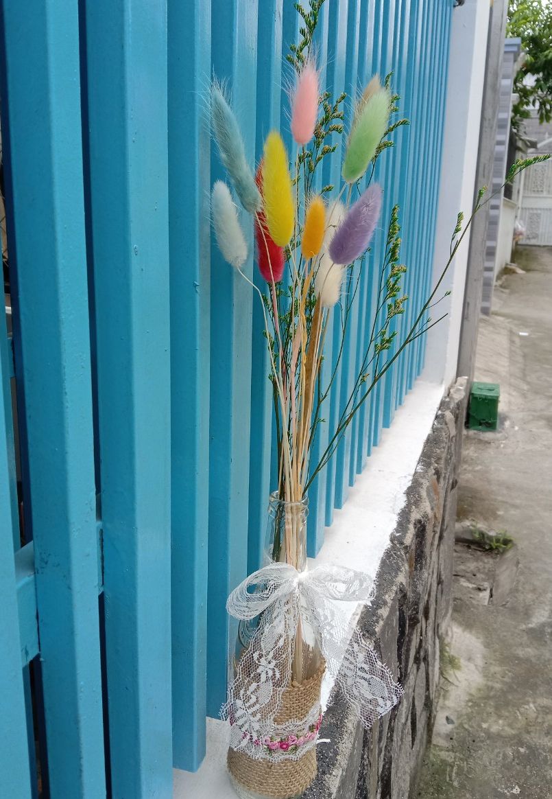 ( 10 bông ) hoa đuôi thỏ khô mix nhiều màu