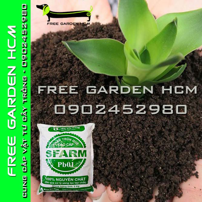 BAO 40kg PHÂN TRÙN QUẾ SFARM