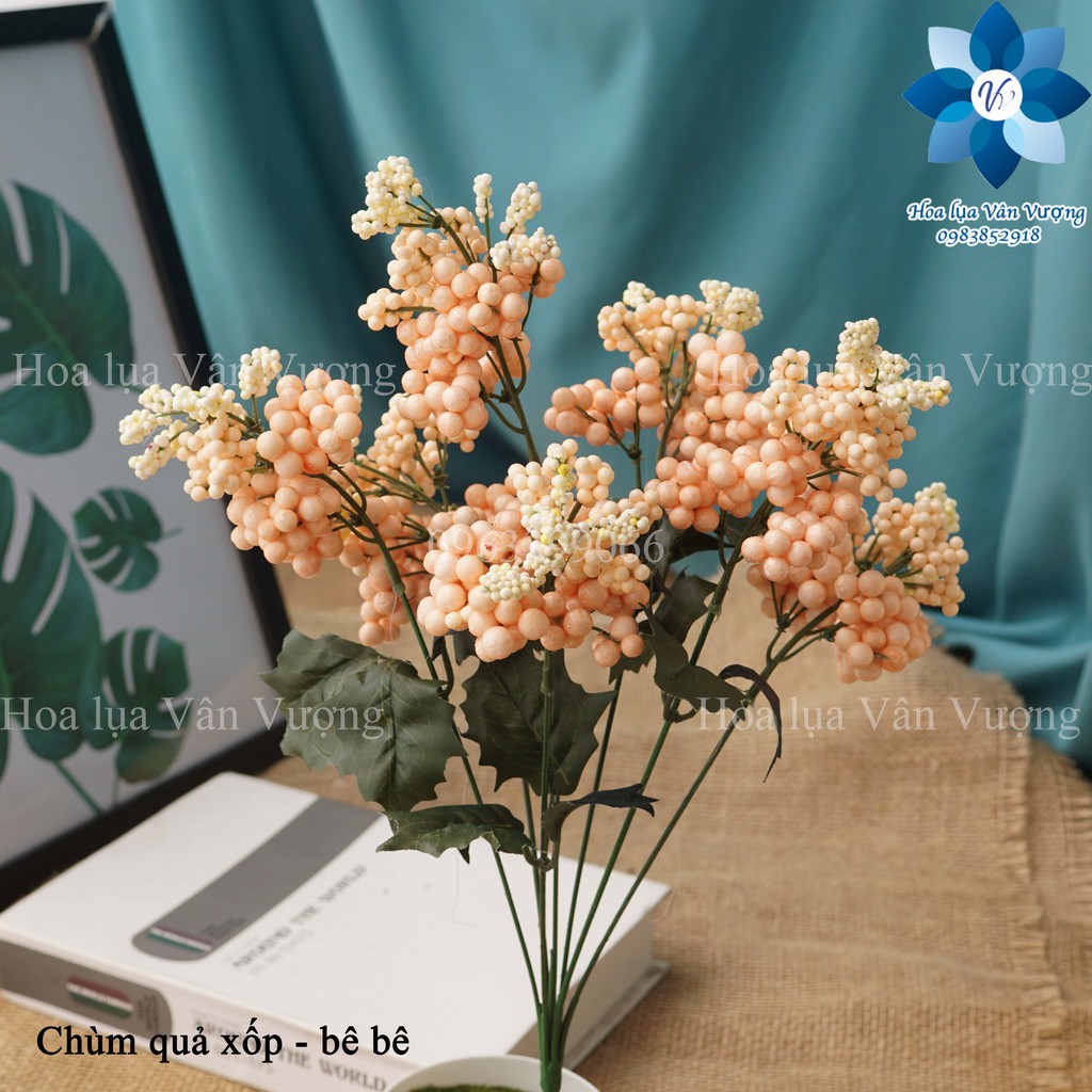 Hoa giả, chùm quả xốp điểm