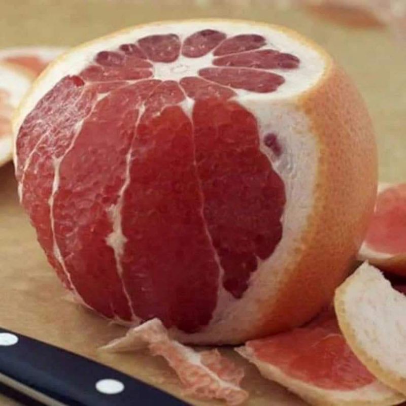 Cây Giống Bưởi Luận Văn