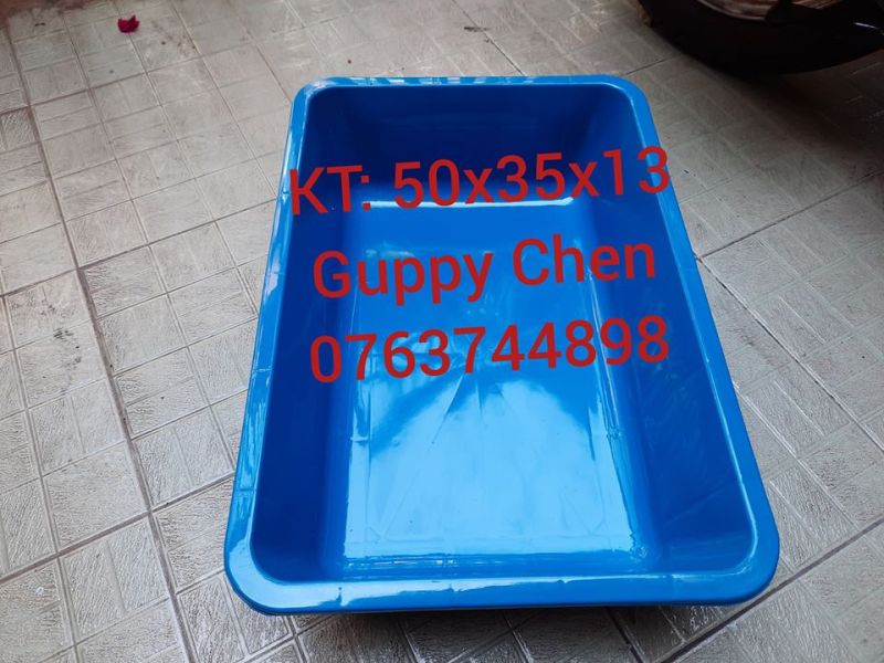 Combo 3 khay nhựa xanh 50cm dùng để nuôi cá