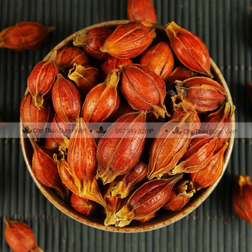 Qủa dành dành 100g, hạt dành dành, chi tử, bột tạo màu bánh, xôi, thạch - Chợ Thảo Dược Việt
