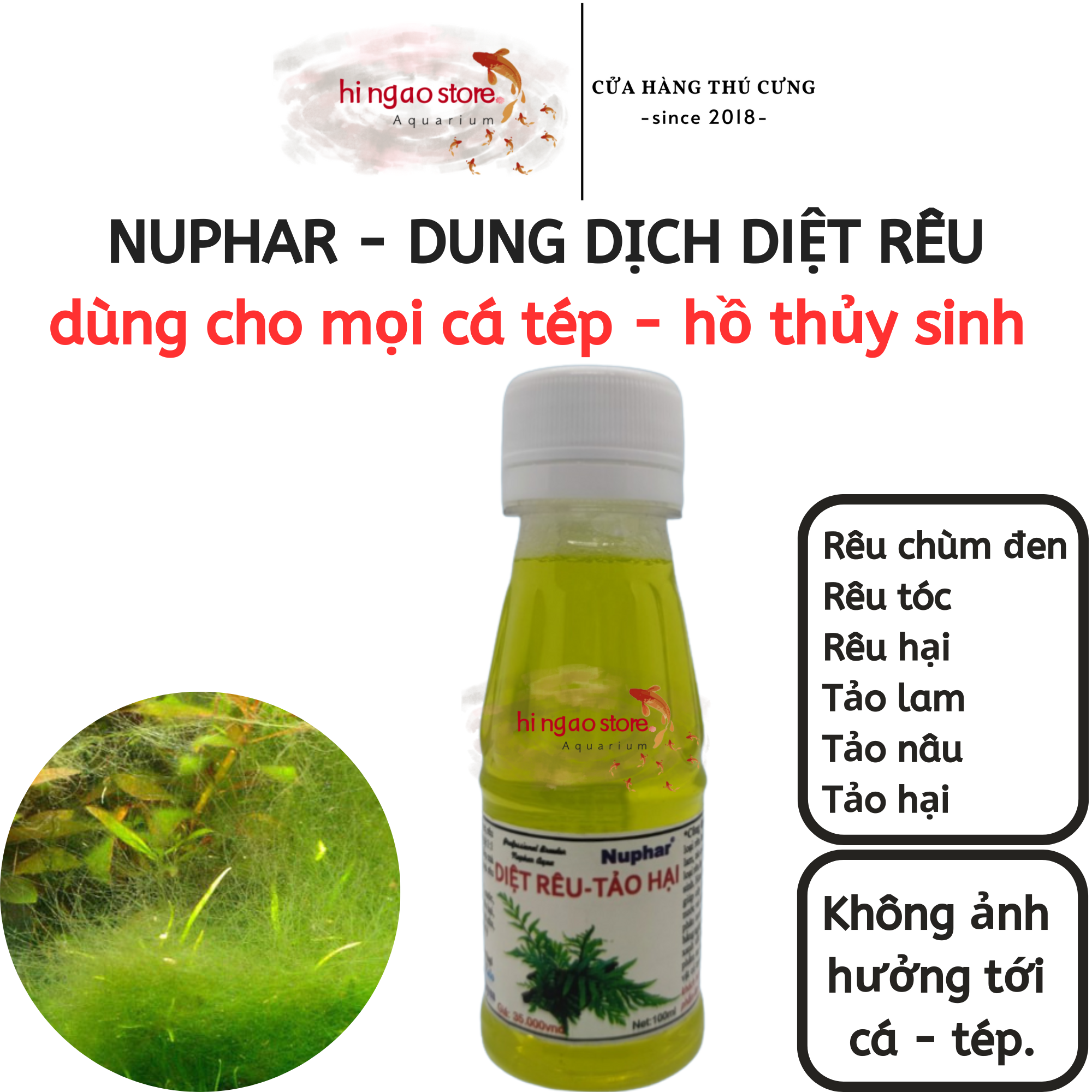Nuphar solution removal Moss-algae harm-remove the whole all kinds Moss harm stubborn in tank aquatic | hingaostore.
