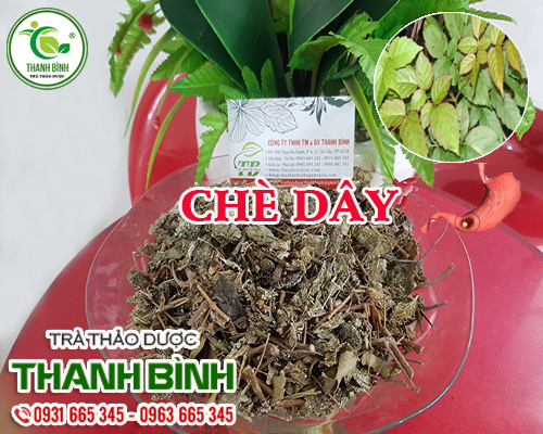 Combo 2Kg Cây Chè Dây Sapa Khô Giá Tốt Nhất - Thảo Dược Thanh Bình