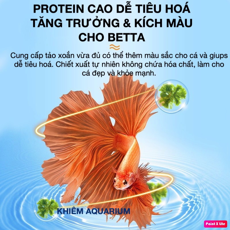 20g Thức ăn chuyên dụng cho Betta và guppy