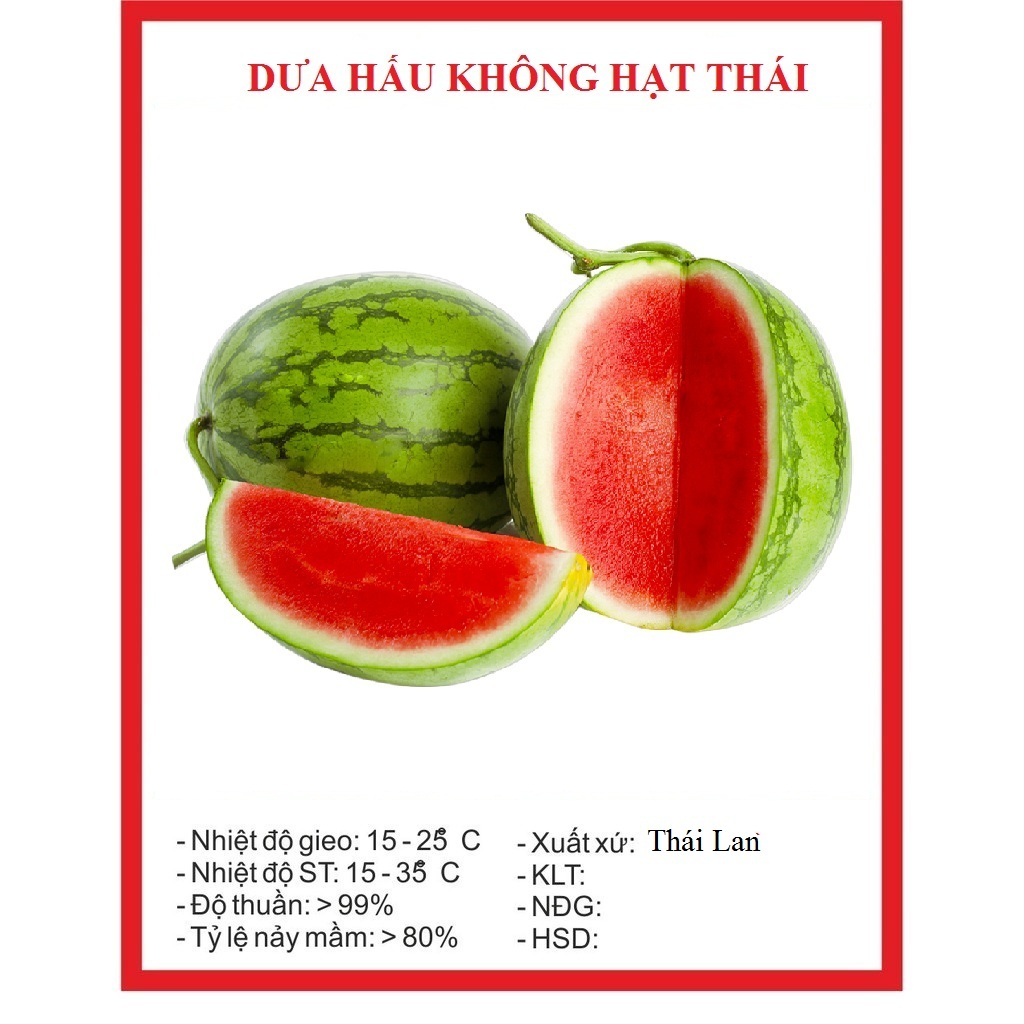 Hạt giống dưa hấu không hạt vỏ sọc-gói 10 hạt