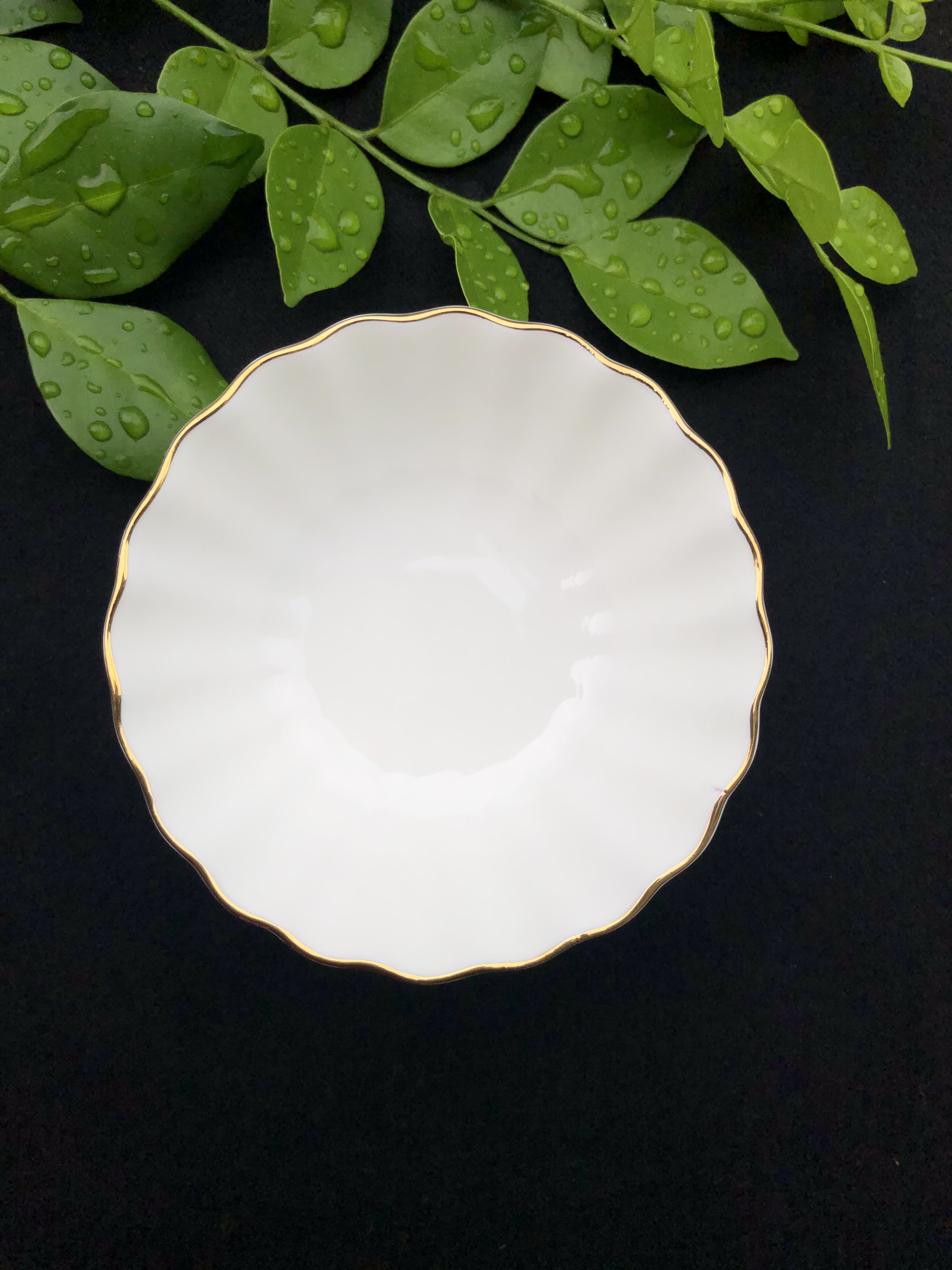 Erato - Bộ 6 bát cơm Cotton -  에라 토 코튼 공기 6P