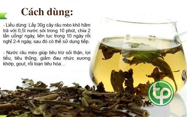 [Hàng mới về] Râu Mèo Sấy Khô 500g - Tấn phát - Trà ngon bổ dưỡng giúp thanh nhiệt và giải độc cực kỳ hiệu quả