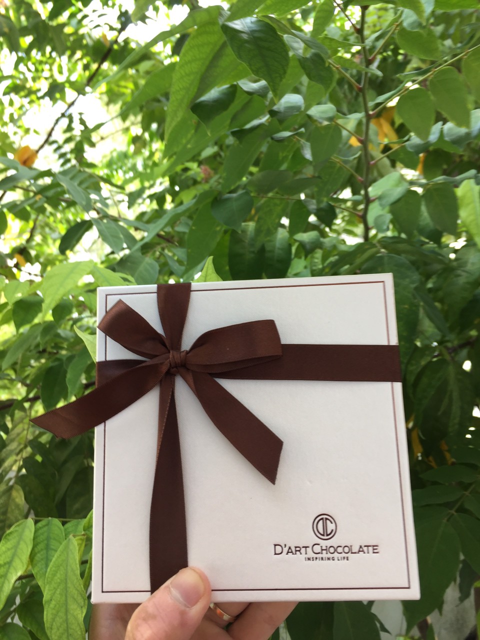 Hộp 36 viên socola nguyên chất D'art Chocolate ( 32%,40%,54%,74%)
