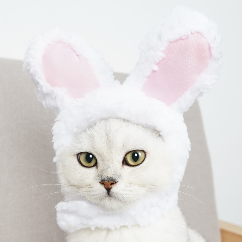 Nón tai thỏ 4 màu cho chó mèo - T3 PETS SHOP